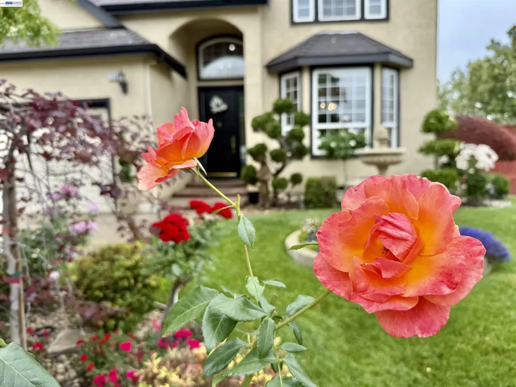 1284 Riesling Circle Livermore CA 94550