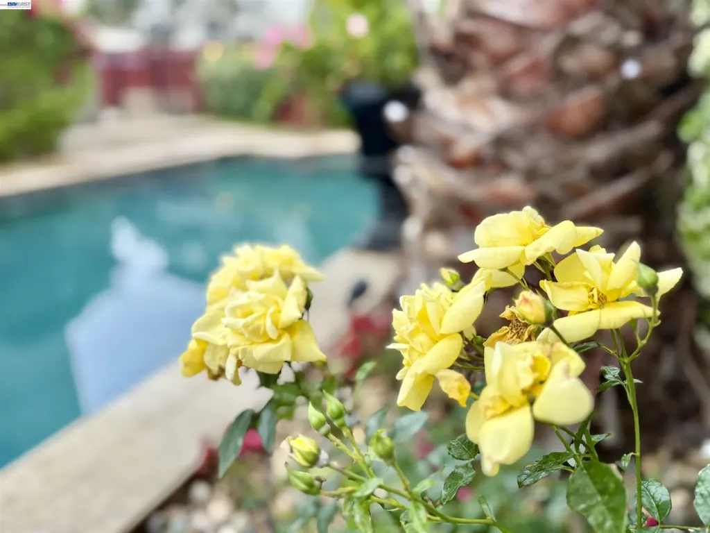 1284 Riesling Circle Livermore CA 94550