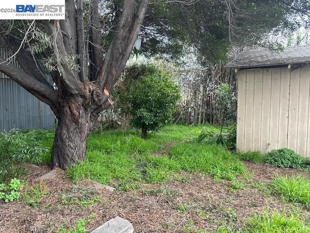 1024 50th Avenue Oakland CA 94601