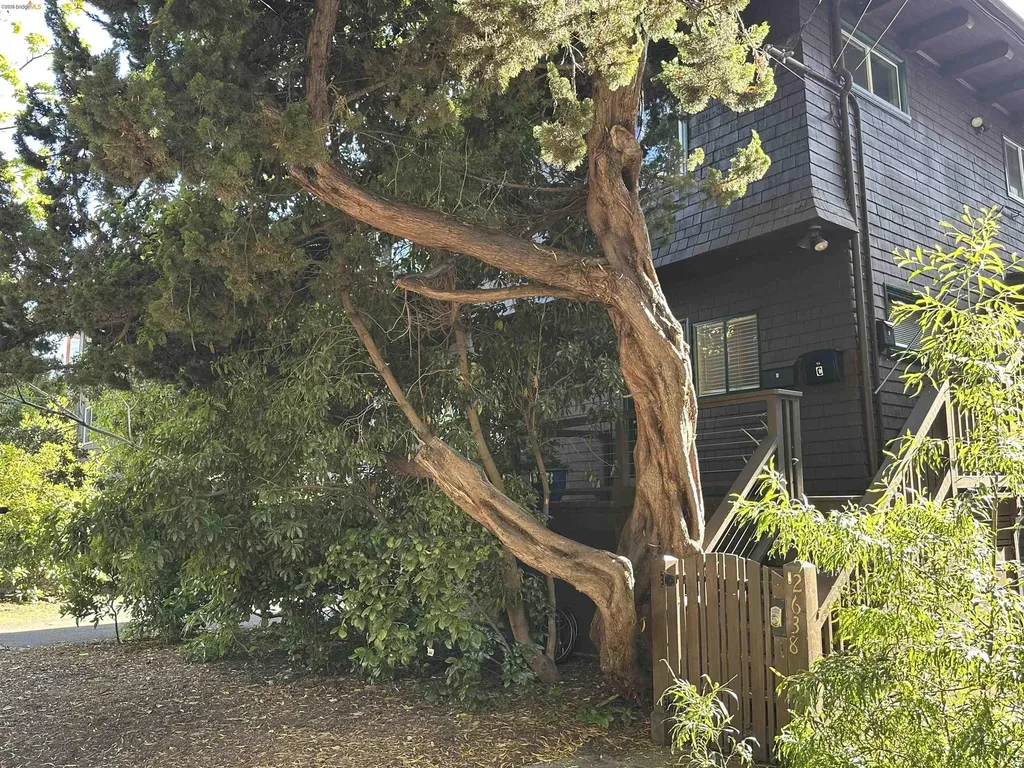 2638 Warring Street Berkeley CA 94704