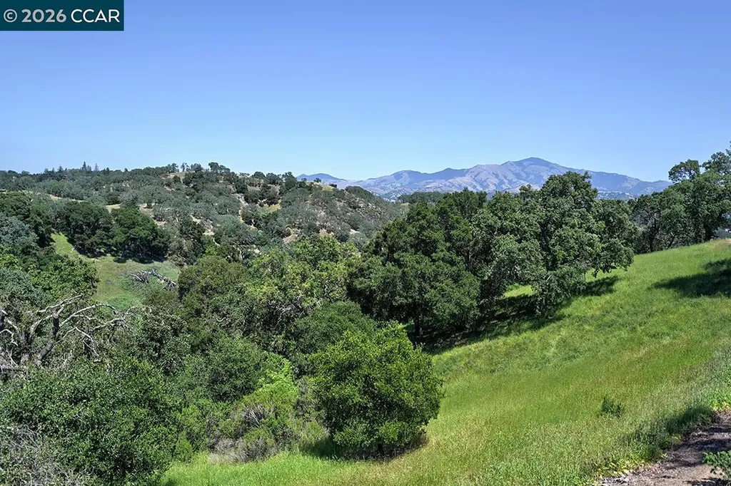 592 High Eagle Court Walnut Creek CA 94595