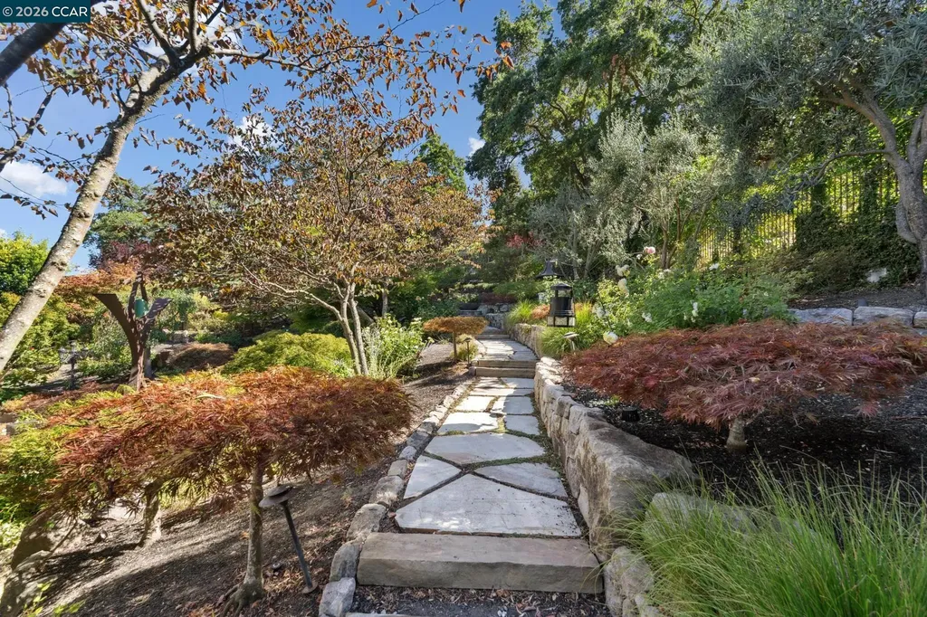 965 Elwyn Place Danville CA 94526