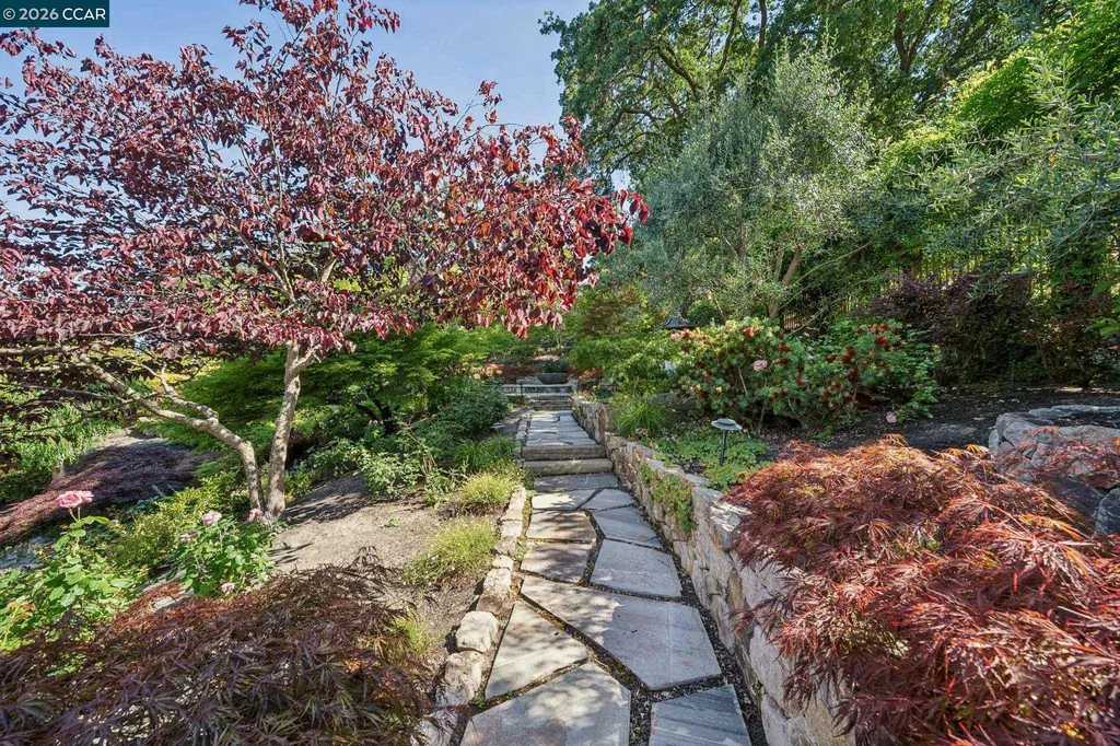 965 Elwyn Place Danville CA 94526