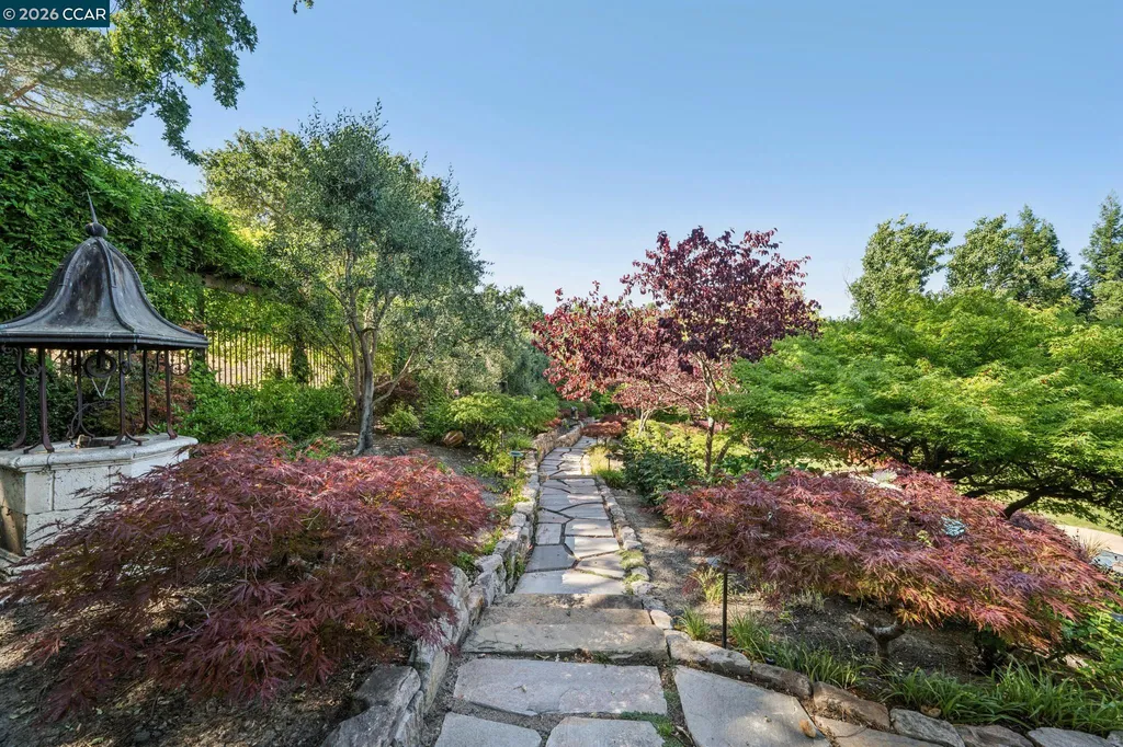 965 Elwyn Place Danville CA 94526