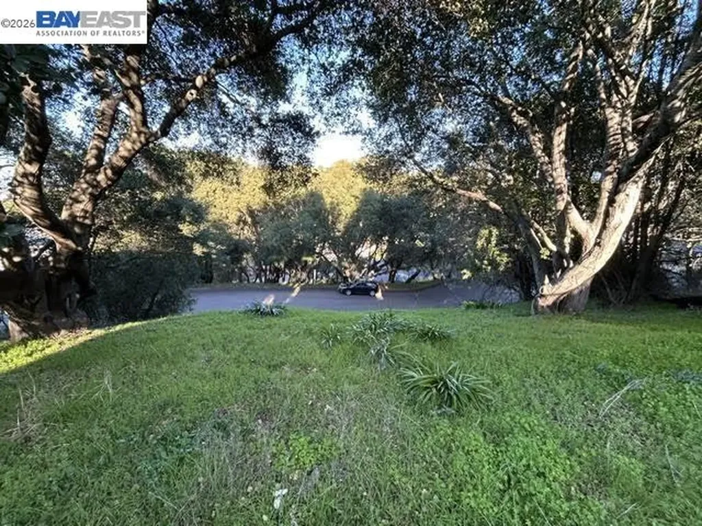 Morse Avenue Hayward CA 94542