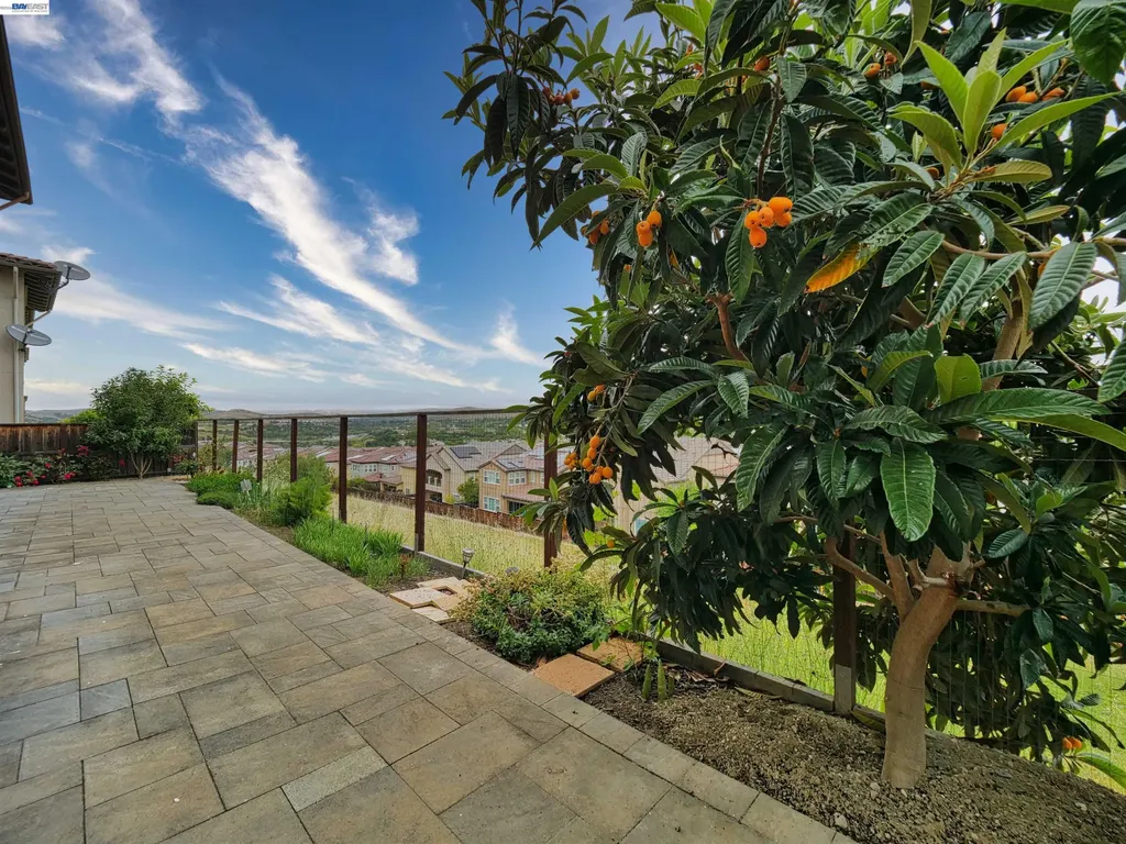 2109 Elderberry Drive San Ramon CA 94582