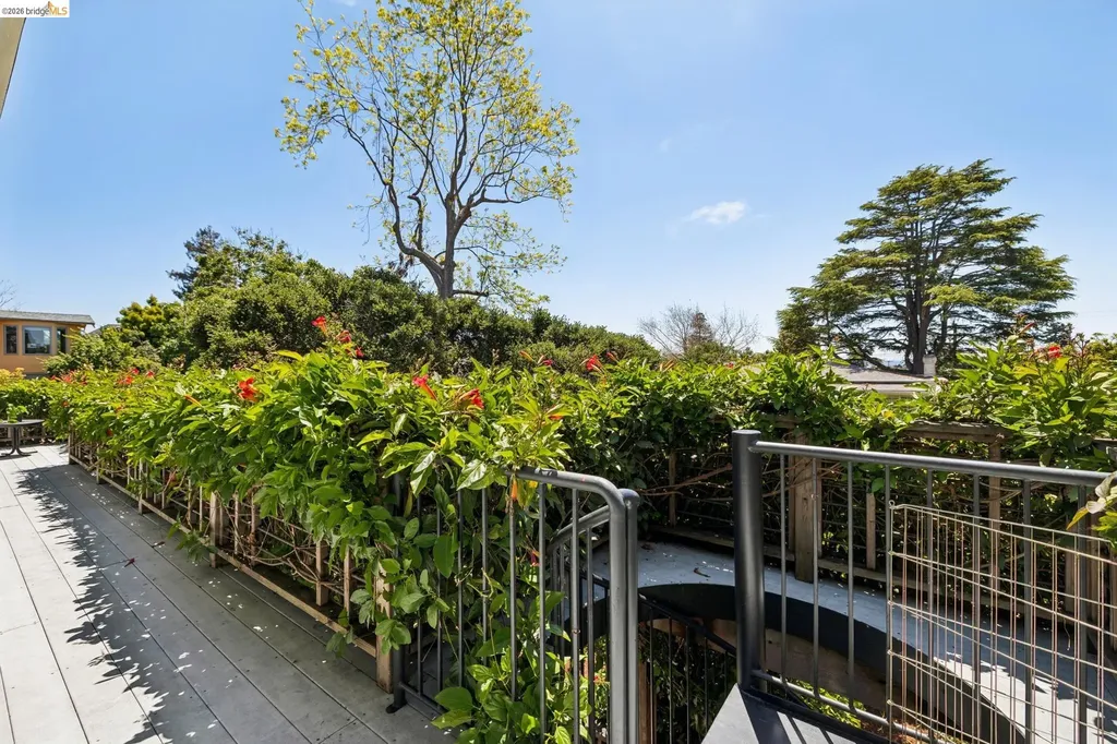 664 Vincente Avenue Berkeley CA 94707