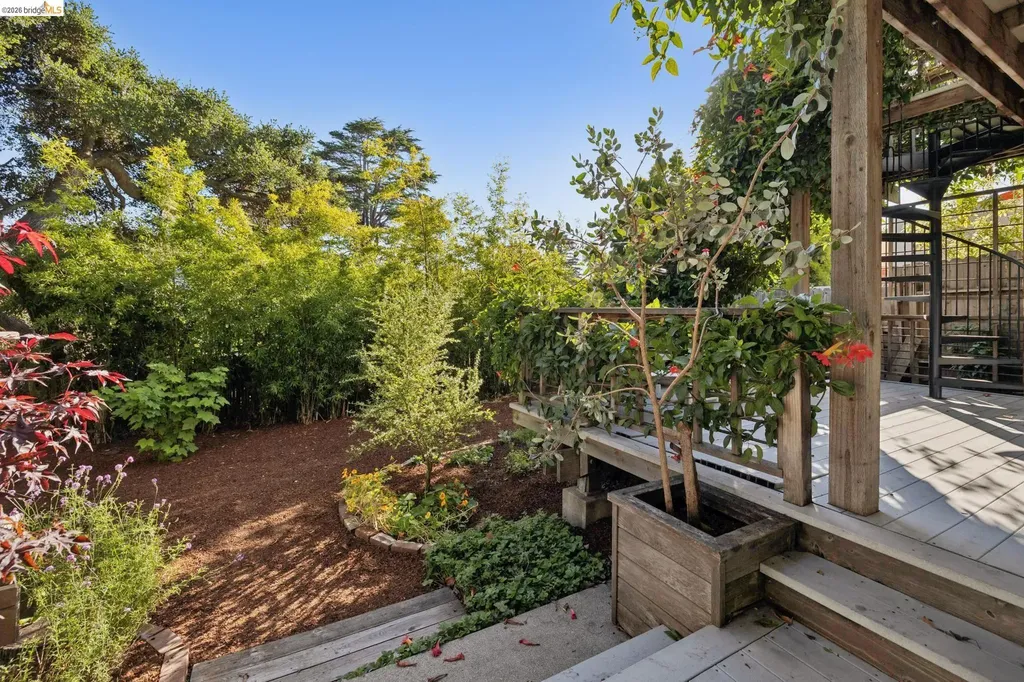 664 Vincente Avenue Berkeley CA 94707