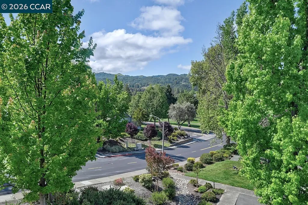 2175 Cactus Court Walnut Creek CA 94595
