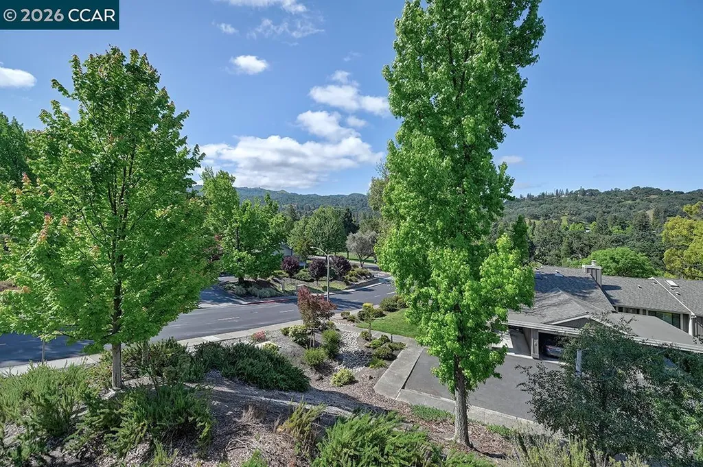 2175 Cactus Court Walnut Creek CA 94595