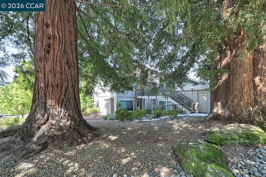 2175 Cactus Court Walnut Creek CA 94595