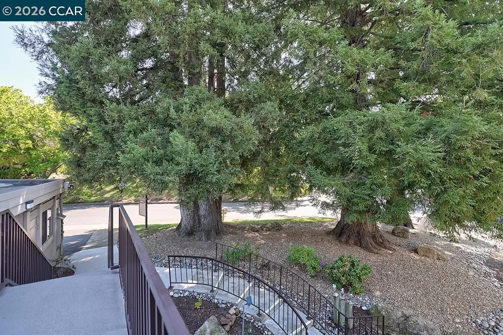 2175 Cactus Court Walnut Creek CA 94595