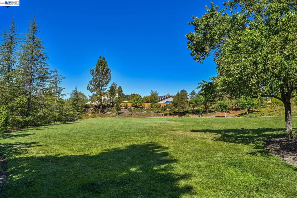 3551 Shadow Creek Drive Danville CA 94506
