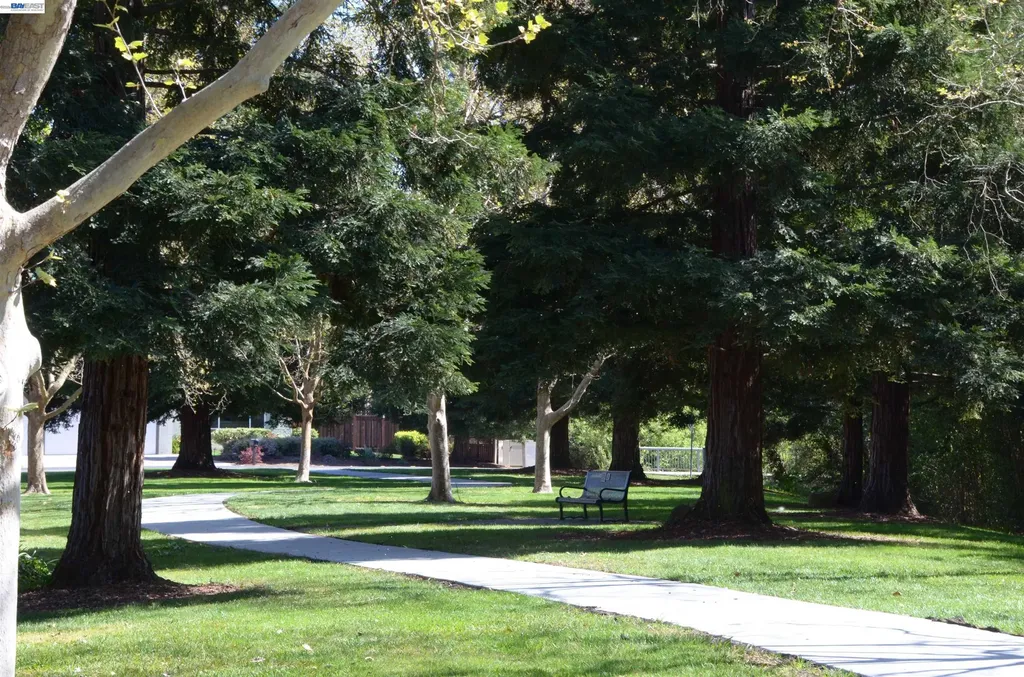 1626 Harlan Drive Danville CA 94526