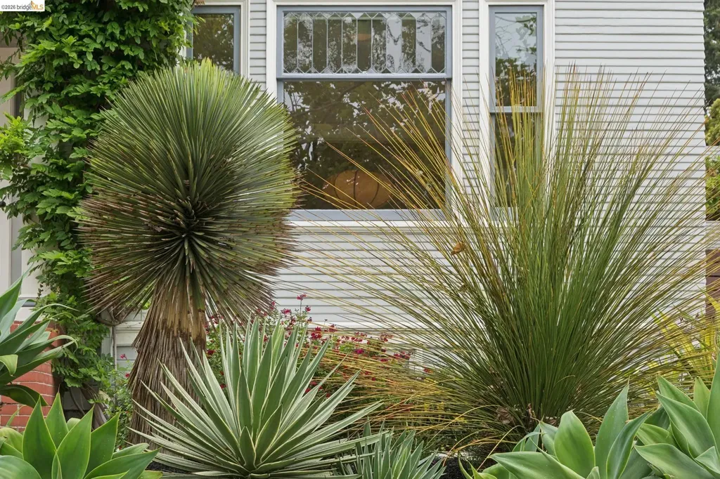 1733 Milvia Street Berkeley CA 94709