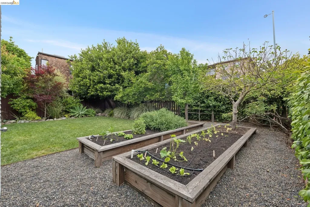 1733 Milvia Street Berkeley CA 94709