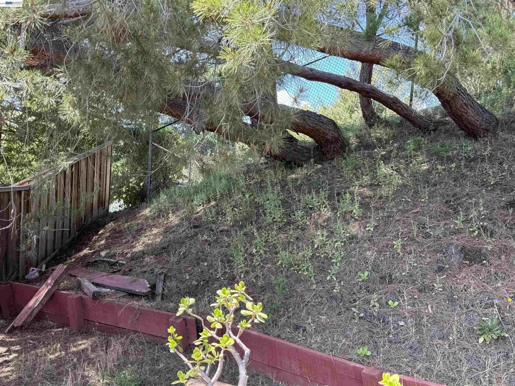 8206 Rhoda Avenue Dublin CA 94568