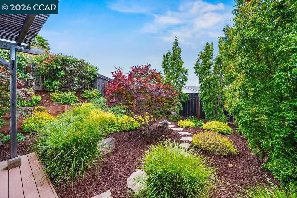 541 Mt Davidson Court Clayton CA 94517