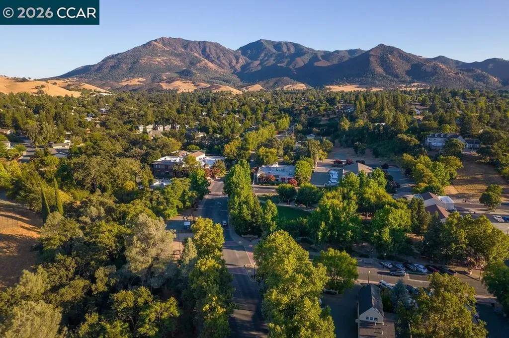 541 Mt Davidson Court Clayton CA 94517