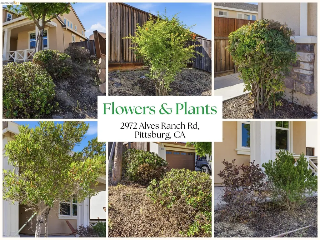 2972 Alves Ranch Road Pittsburg CA 94565