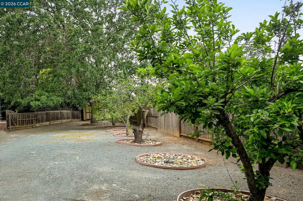 1016 Pine Hollow Court Clayton CA 94517