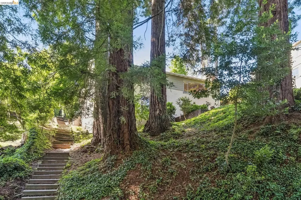 1113 Hillview Road Berkeley CA 94708