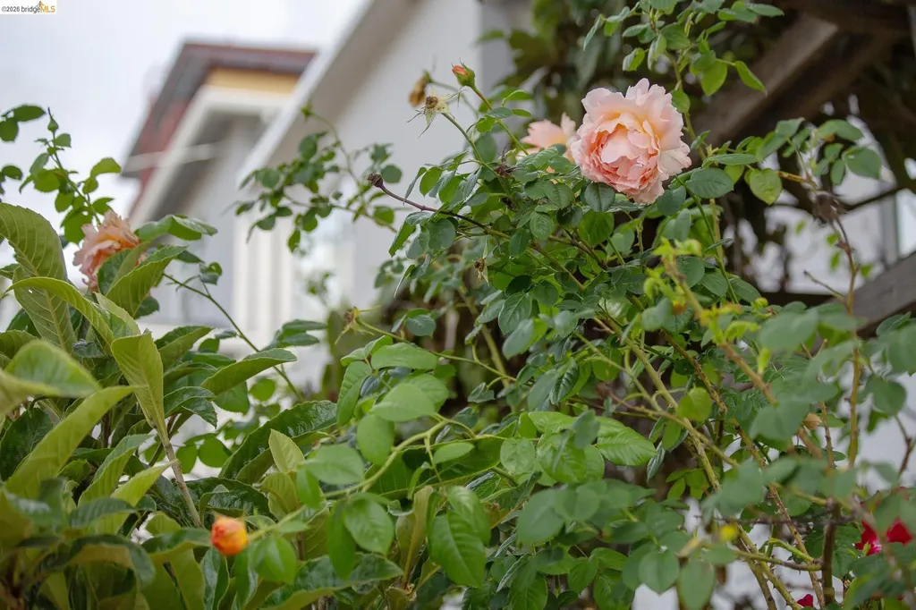 1825 Highland Place Berkeley CA 94709
