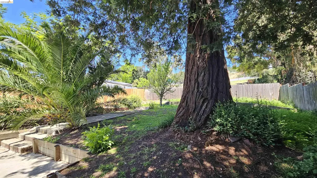 7856 Ney Avenue Oakland CA 94605