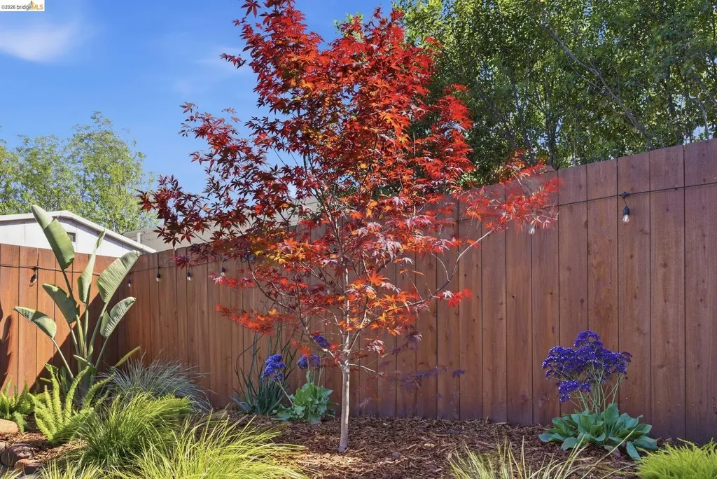 1712 Schiller Street Alameda CA 94501