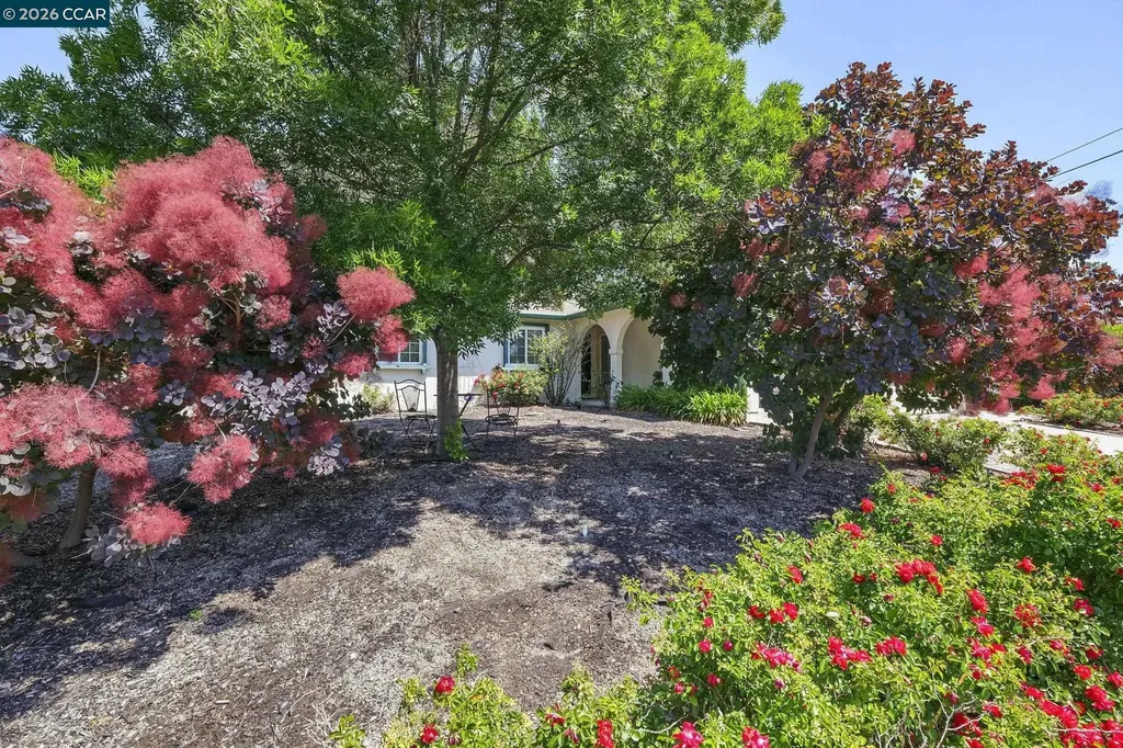2259 Shasta Court Martinez CA 94553