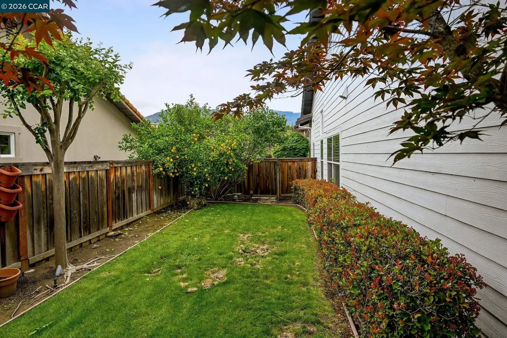 1161 Torrey Pines Place Clayton CA 94517
