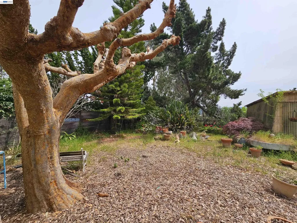 18758 Crane Avenue Castro Valley CA 94546