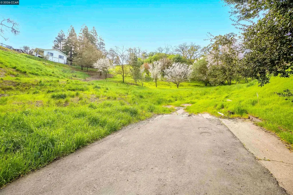 40 Rodrigues Lane Walnut Creek CA 94597
