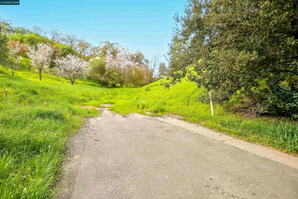 40 Rodrigues Lane Walnut Creek CA 94597