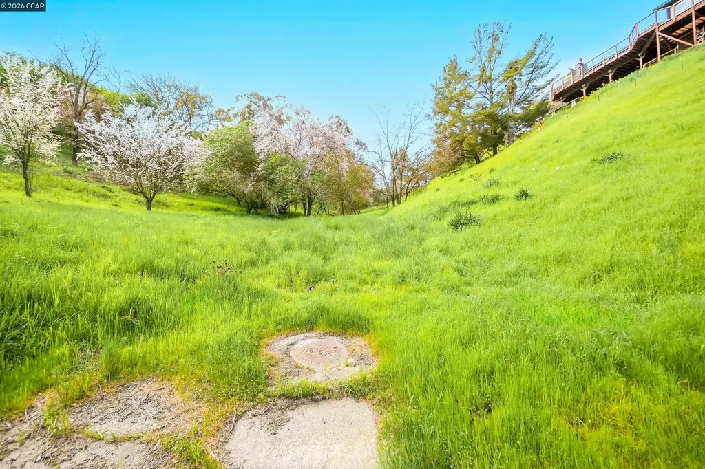 40 Rodrigues Lane Walnut Creek CA 94597