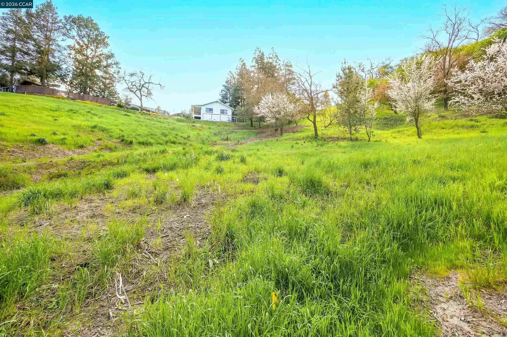 40 Rodrigues Lane Walnut Creek CA 94597