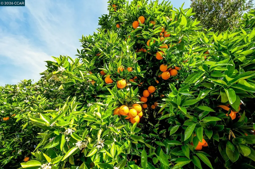 2007 Calle Los Callados Diablo CA 94528