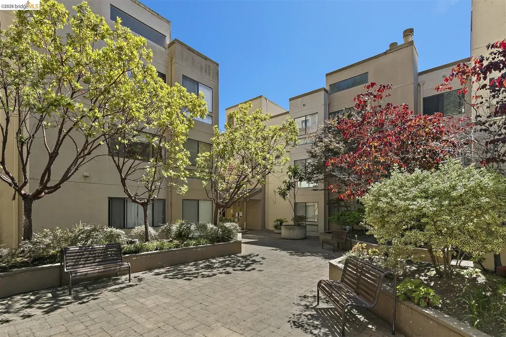 545 Pierce Street Albany CA 94706