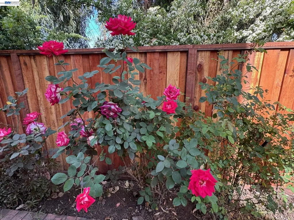 1265 Alder Creek Circle San Leandro CA 94577