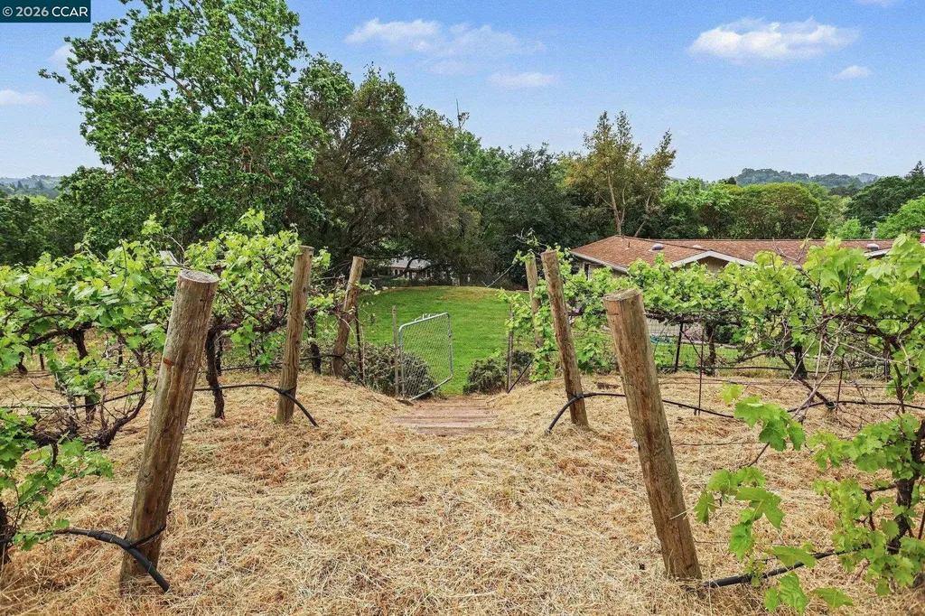4 Dale Court Lafayette CA 94595