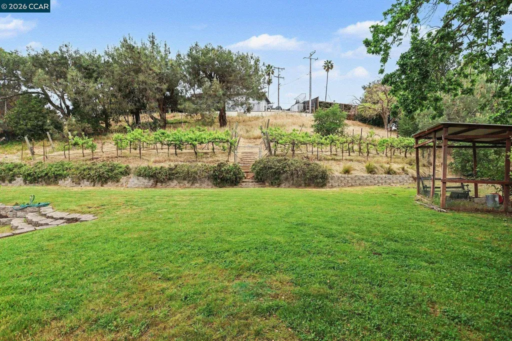 4 Dale Court Lafayette CA 94595