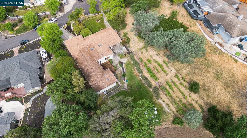 4 Dale Court Lafayette CA 94595