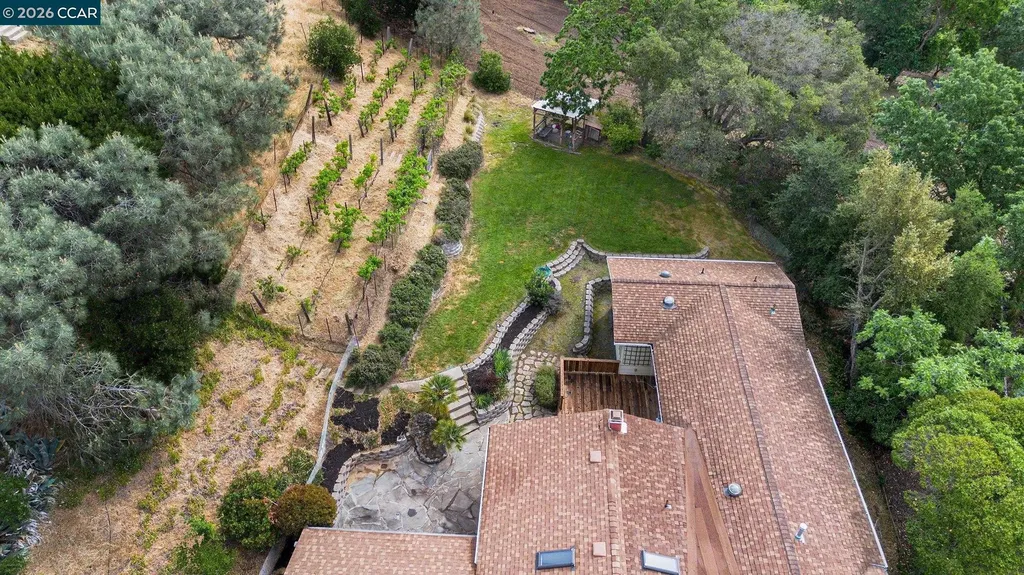 4 Dale Court Lafayette CA 94595