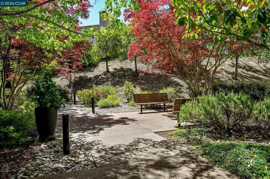 5920 Horsemans Canyon Walnut Creek CA 94595