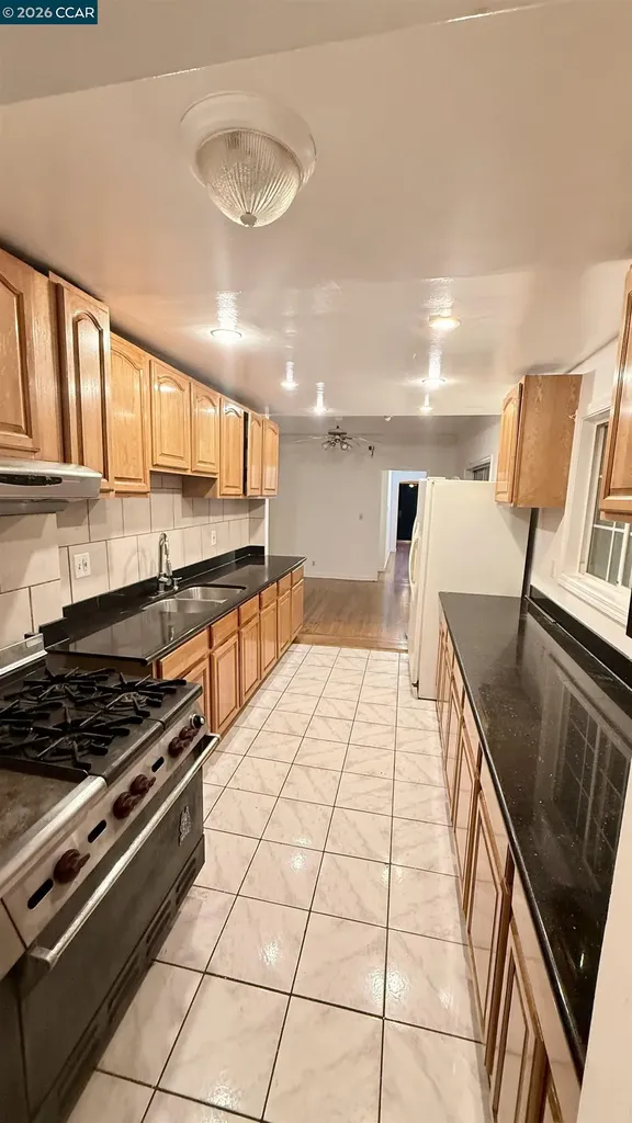 411 Vienna Street San Francisco CA 94112