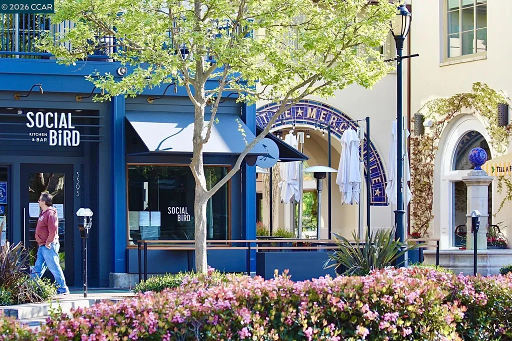 1000 Dewing Avenue Lafayette CA 94549