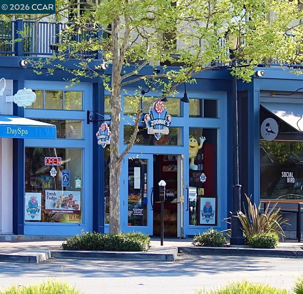 1000 Dewing Avenue Lafayette CA 94549