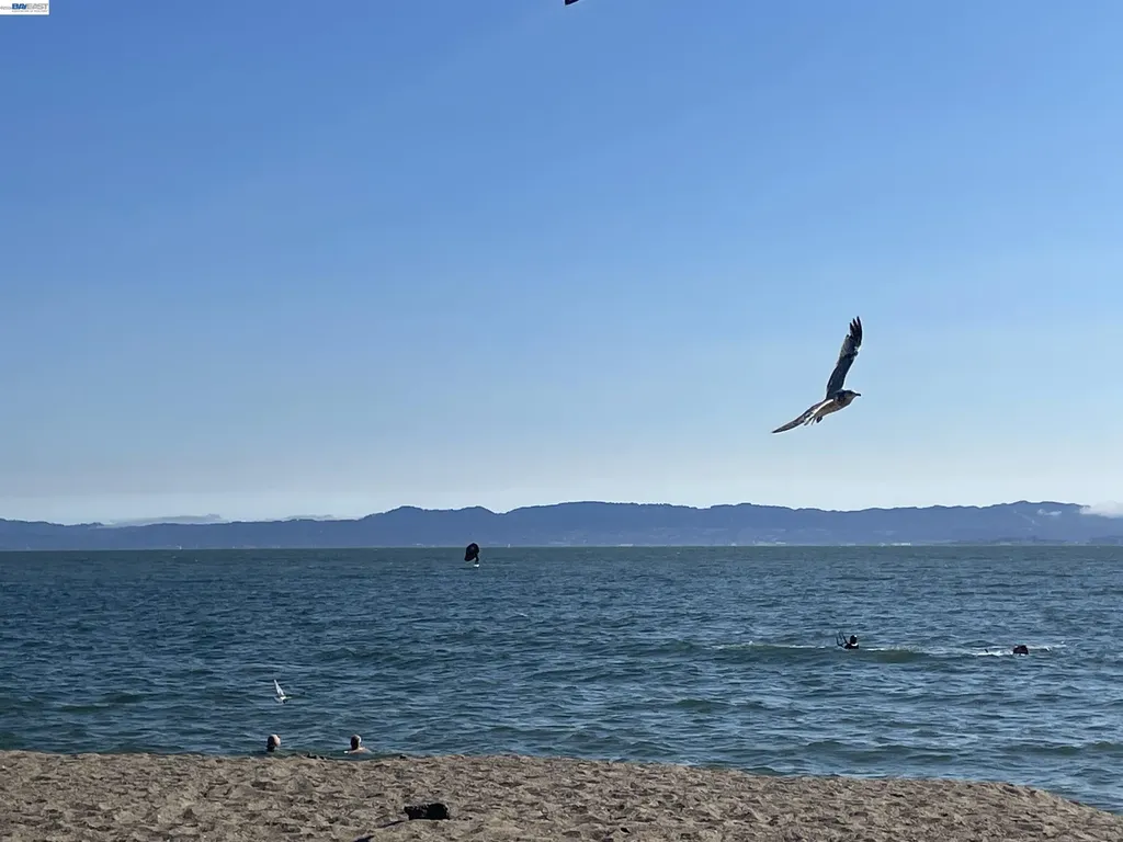 965 Shorepoint Court #200 Alameda CA 94501
