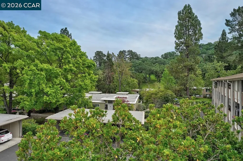 1301 Leisure Lane Walnut Creek CA 94595