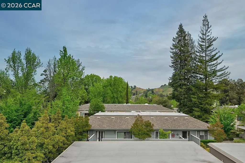 1301 Leisure Lane Walnut Creek CA 94595